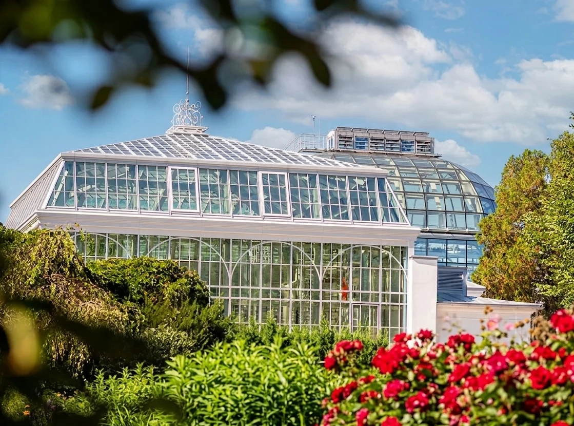 Ogród Botaniczny Uniwersytetu Jagiellońskiego